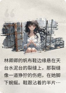 天台的风和掌心的暖