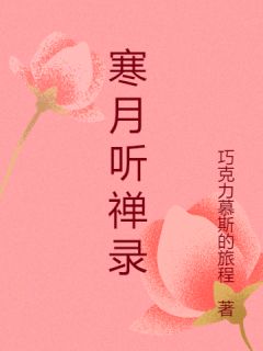寒月听禅录