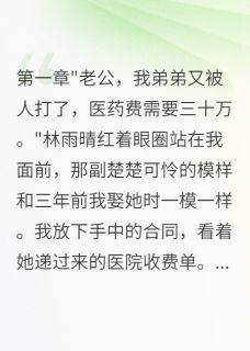 妻子为小舅子抵押我公司要离婚