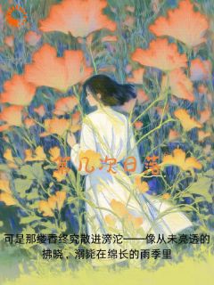 第几次日落