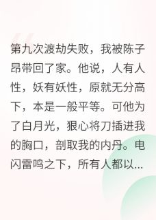 渡劫失败的阿狸