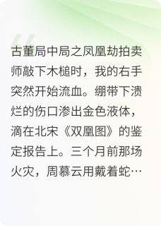 古董局中局之凤凰劫