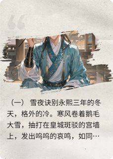 换脸替嫁后，冷面侍卫他不认账了