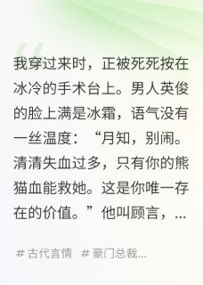 我月老，穿成虐文女主后乱牵红线