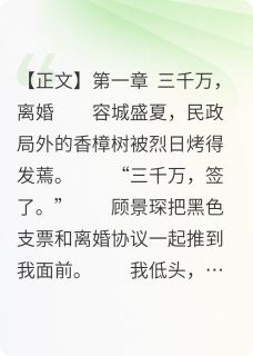 离婚后我怀崽，他跪暴雨唱告白