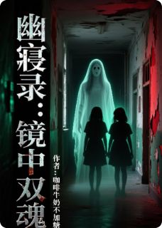 幽寝录：镜中双魂