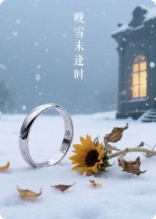 晚雪未逢时