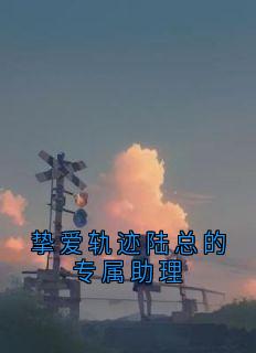 挚爱轨迹陆总的专属助理