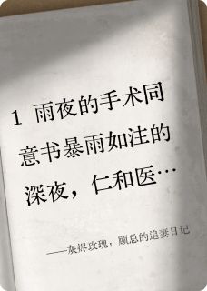 灰烬玫瑰：顾总的追妻日记