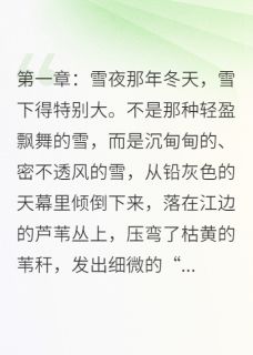 那年雪夜，我成了哥哥