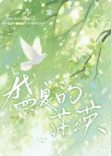 盛夏的蒲公英