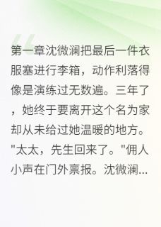 替身三年，白月光归来我走人