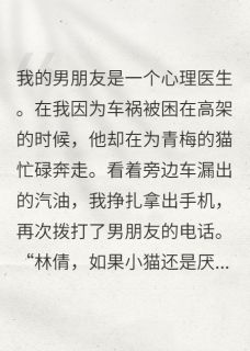 三年爱意终止
