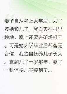 我帮儿子讨公道，妻子反送我入狱