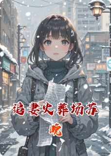 追妻火葬场苏晚