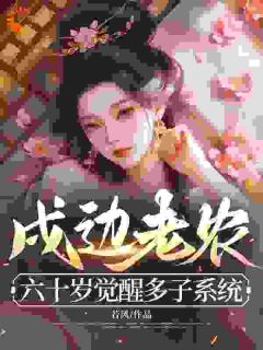 戍边老农：六十岁觉醒多子系统