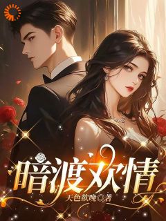暗渡欢情