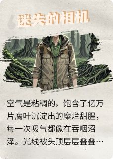 迷失的相机