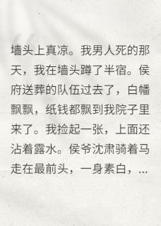 侯爷他总怀疑我在墙头等他