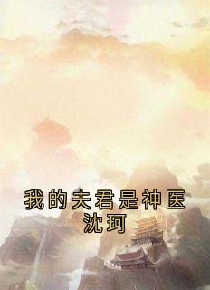 我的夫君是神医沈珂