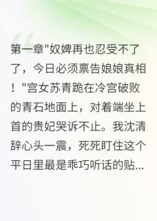 那个老嬷嬷神秘失踪了