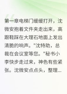 隐婚三年，反派老公宠上天