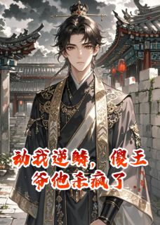 动我逆鳞，傻王爷他杀疯了
