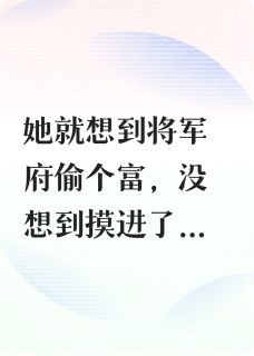 半夜偶遇将军