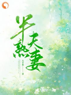 半熟夫妻