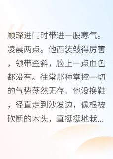总裁夫人是黑客？他防火墙塌了