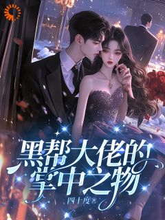 黑帮大佬的掌中之物
