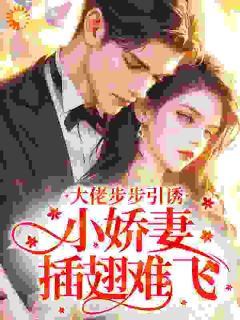 大佬步步引诱，小娇妻插翅难飞