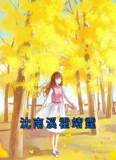 沈南溪霍靖霆