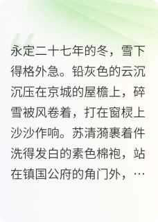 朱墙雪，故人心