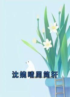 沈婉晴周简轩
