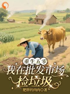 重生五零：我在批发市场捡垃圾