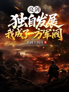 亮剑：独自发展，我成了一方军阀