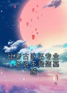 比考古队还专业，还说不是盗墓贼