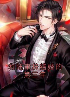 和陆聿辞结婚的第三年