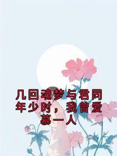 几回魂梦与君同年少时，我曾爱慕一人