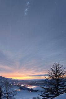 乔晶陆屿年