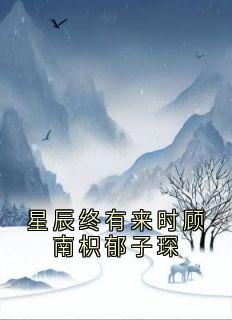 星辰终有来时顾南枳郁子琛