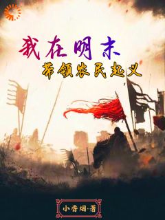 我在明末带领农民起义