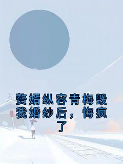 赘婿纵容青梅毁我婚纱后，悔疯了