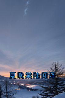 夏晚棠陆闻泽