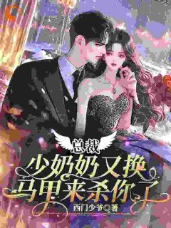 总裁，少奶奶又换马甲来杀你了