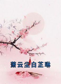 萧云尘白芷琳