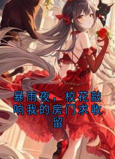 暴雨夜，校花敲响我的房门求收留
