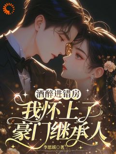 酒醉进错房，我怀上了豪门继承人