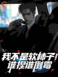 我不是软柿子！谁捏谁倒霉